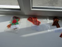 IMG_8301