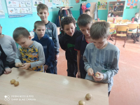 IMG-20220222-WA0002