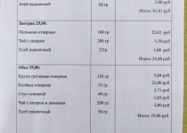 Организация питания
